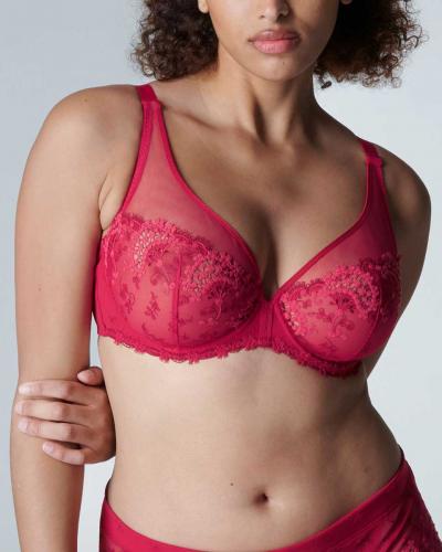 Un soutien gorge pour celle qui veulent de la classe